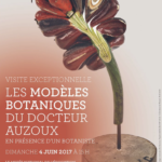 affiche belles Plantes rouen rendez-vous du 4 juin Aux Arts