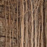 exposition vous êtes un arbre