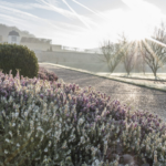 Exposition Les couleurs des plantes indigènes