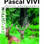 Exposition Pascal Vivi, Nature Photographie