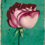 Fond vert avec une rose