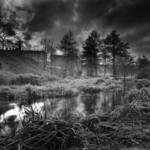 Les Secrets du Pays d'Ouche, ombres et lumières