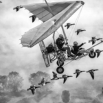 Photographies Alain Trouilly, Fabrice Dimier et Marta Rossignol