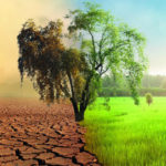 le climat change cherbourg